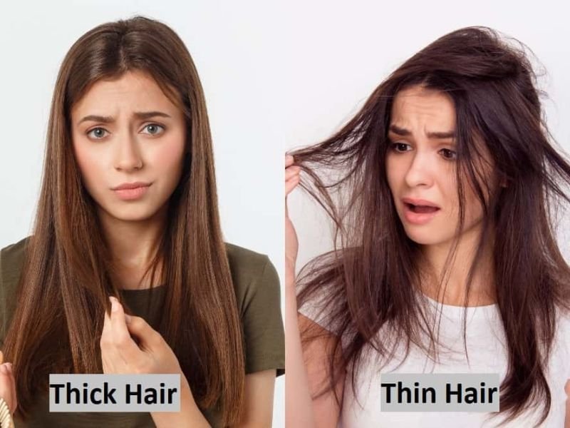 Thick or Thin Hair