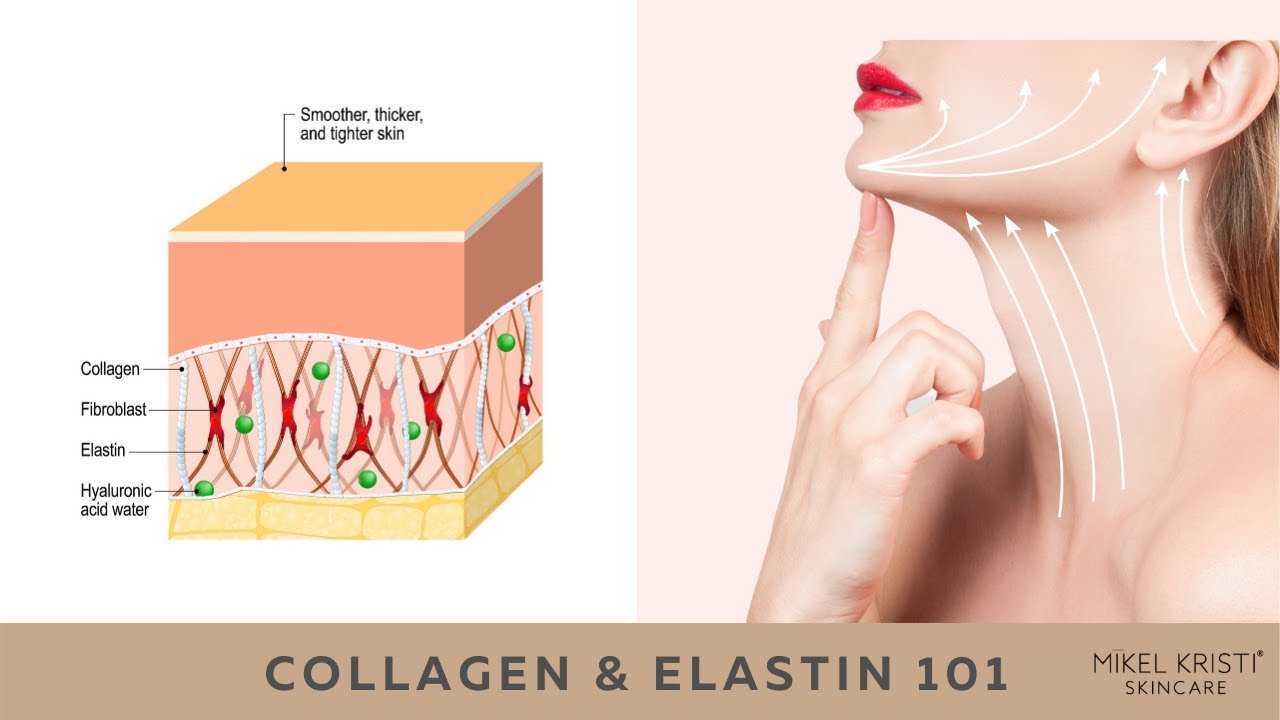 Builds New Collagen and Elastin