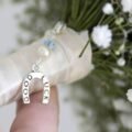 Lucky Horseshoes for Brides